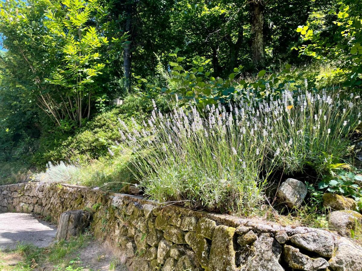 Gite Des Sausses Dans Une Nature Preservee Burzet Exterior photo