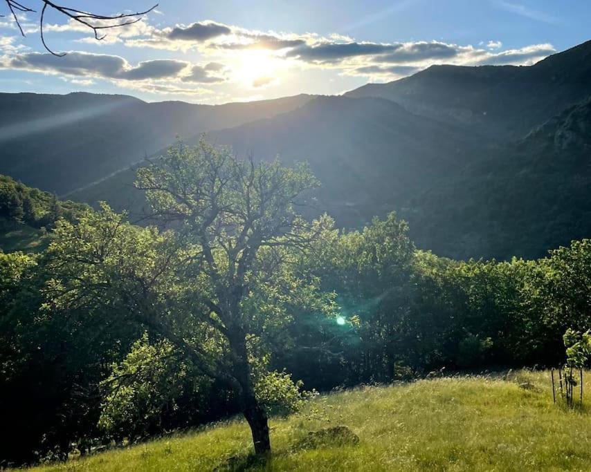 Gite Des Sausses Dans Une Nature Preservee Burzet Exterior photo